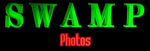 SWAMP - Photos